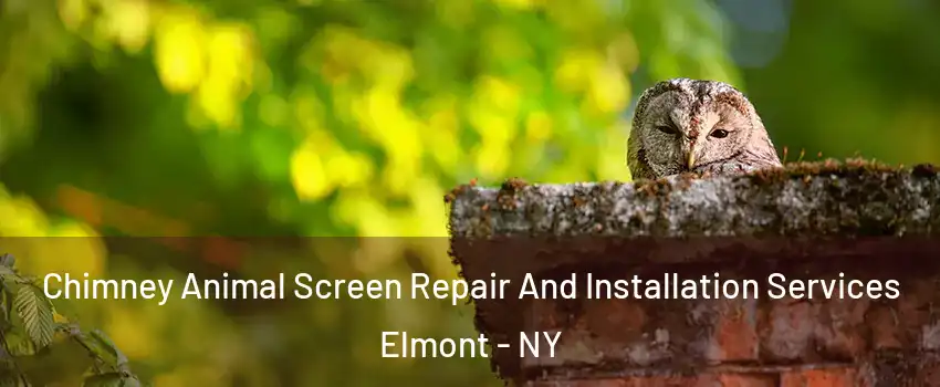  Chimney Animal Screen Repair And Installation Services Elmont - NY