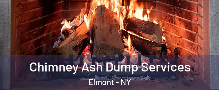  Chimney Ash Dump Services Elmont - NY