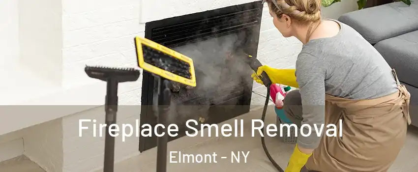  Fireplace Smell Removal Elmont - NY