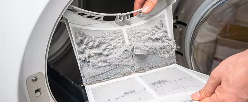 Best Dryer Lint Removal Company in Elmont, New York