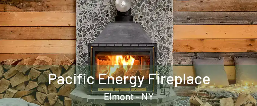 Pacific Energy Fireplace Elmont - NY